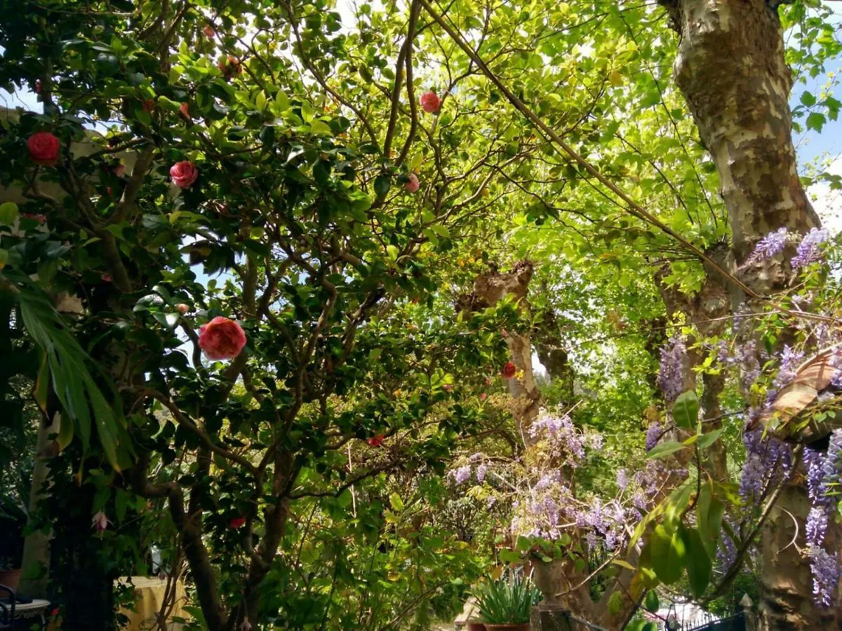 Semesterbostad Casa Da Paderna Villa Sintra Portugal