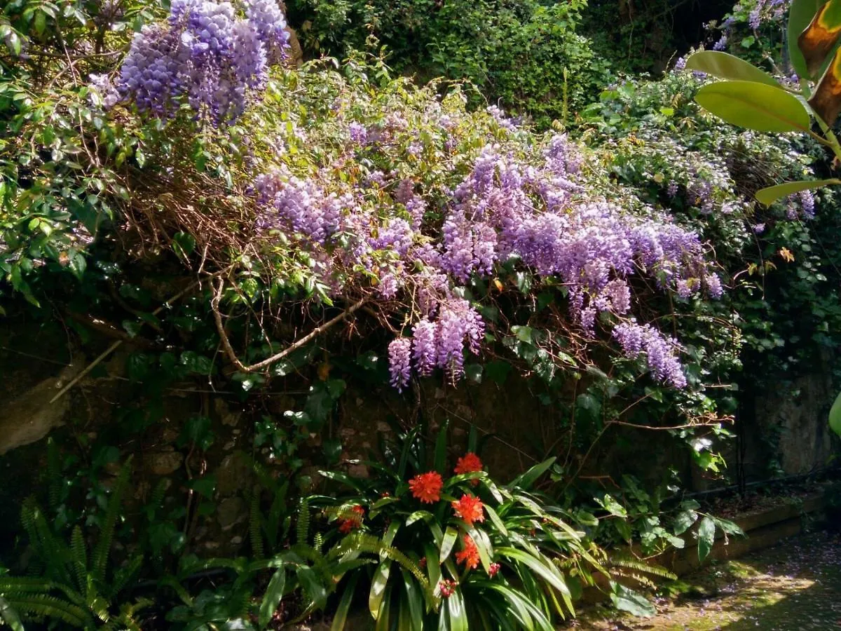 Casa Da Paderna Villa Sintra Portugal