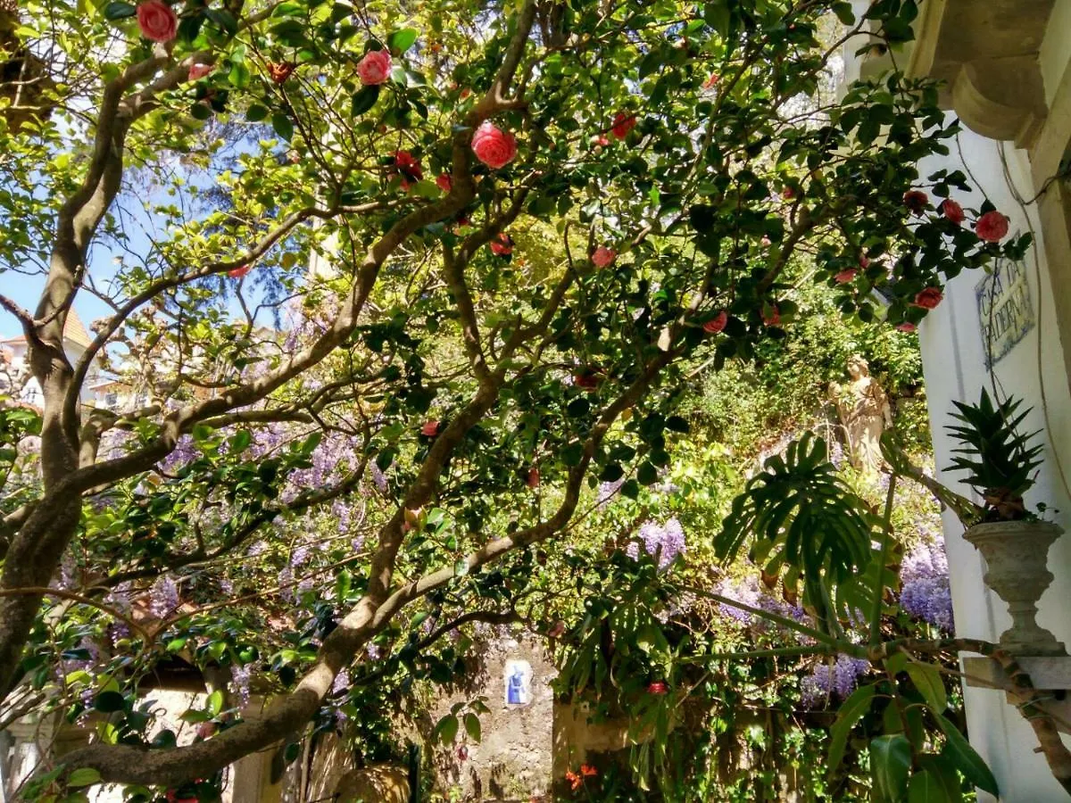 Casa Da Paderna Villa Sintra Holiday home